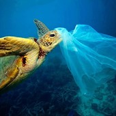 *Journée mondiale du sans sac plastique*Ce Samedi 03 Juillet c’est la journée mondiale sans sac plastique, ils représentent un danger pour l'écosystème marin et terrestre.Il suffit d’une seconde pour fabriquer un sac plastique, qui sera utilisé en moyenne pendant 20 minutes, et il mettra entre 100 à 400 ans à se désagréger.Ensemble, réduisons notre empreinte plastique.#journeemondialedusanssacplastique #protegeonsnosoceans #5oceanssemobilise #permisbateaux